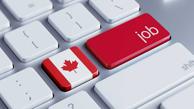 How To Search A Job In Canada
